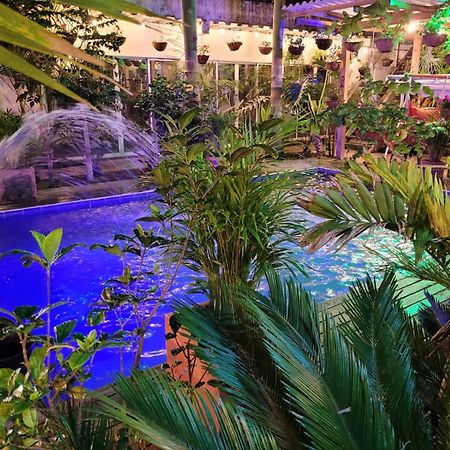 Hostal Hilltop סאלנטו מראה חיצוני תמונה