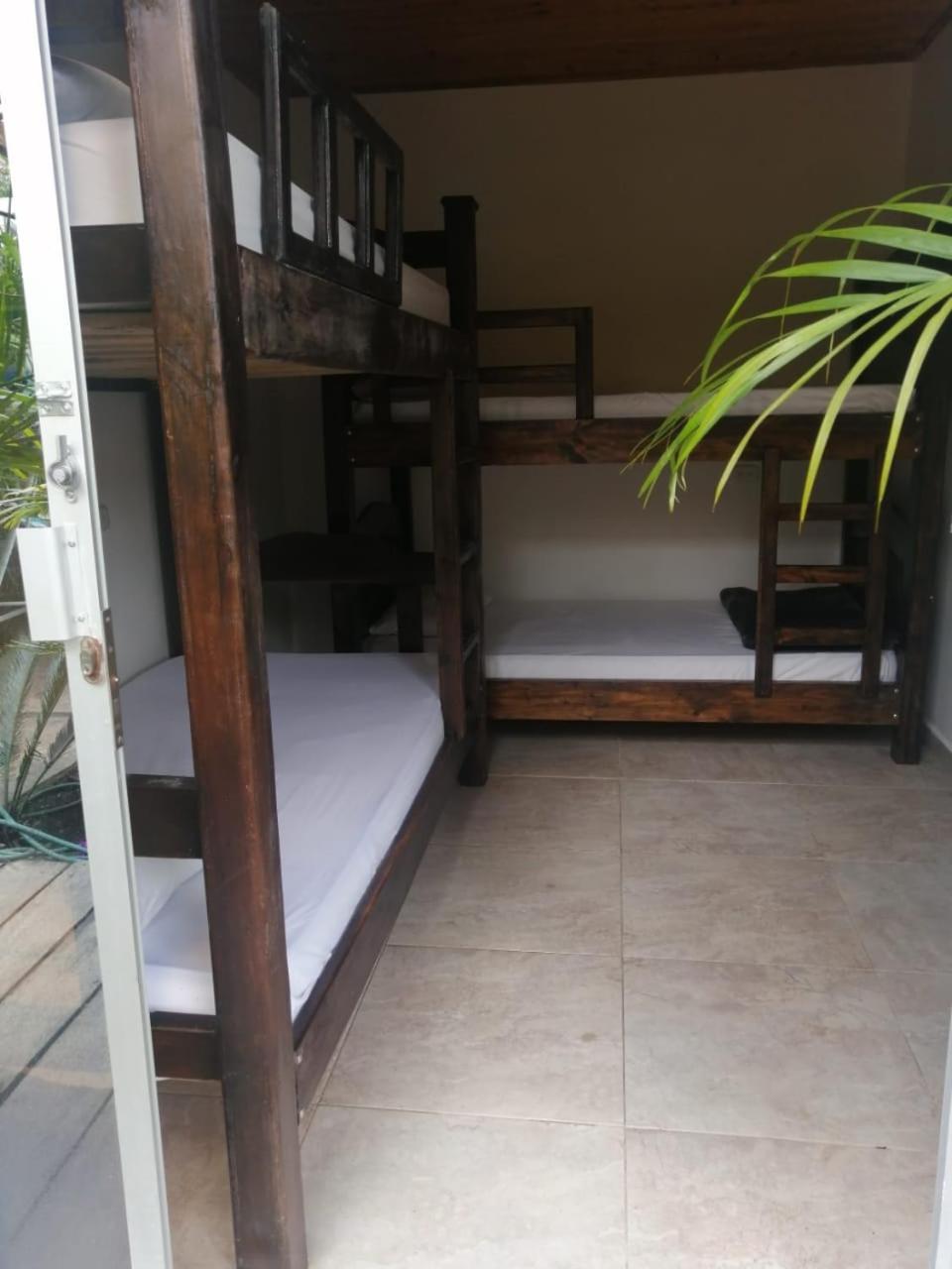 Hostal Hilltop סאלנטו מראה חיצוני תמונה